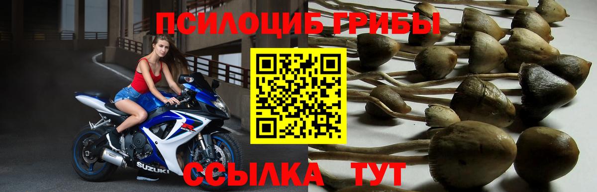 Котельники  Псилоцибиновые грибы ЛСД  Вход с VPN 